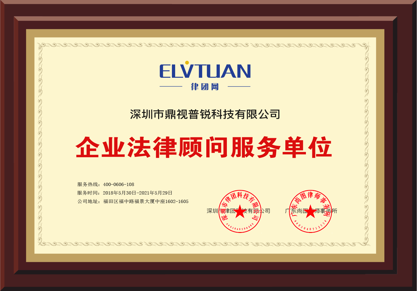 鼎视普锐.png